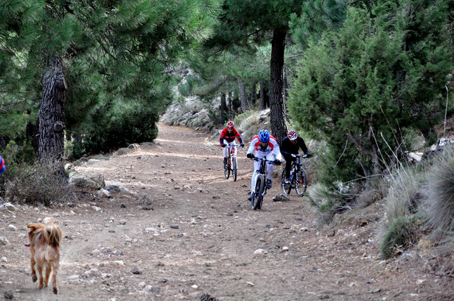 Family walks in the Sierra Espuña, the Route of the Dinosaur